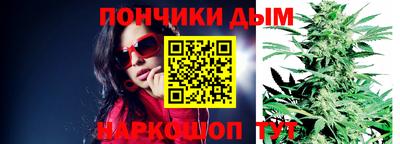 сатива Ставрополь